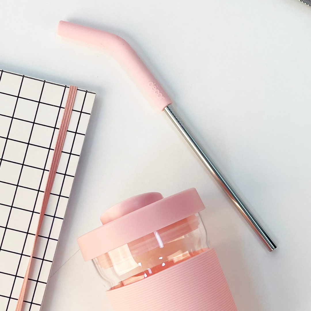 Reusable Stainless Steel Straws